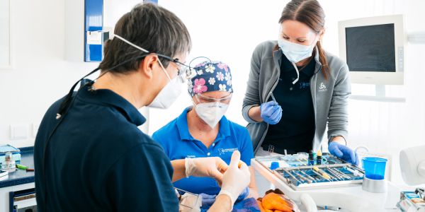 Karriere bei ZaT ZFA